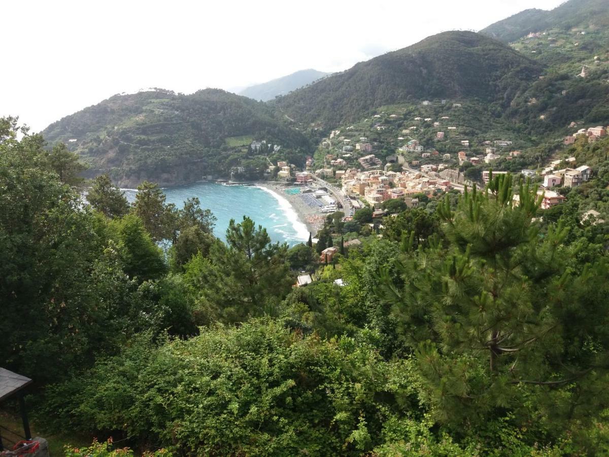 Apartament Casa Cinzia Bonassola Cinque Terre Zewnętrze zdjęcie
